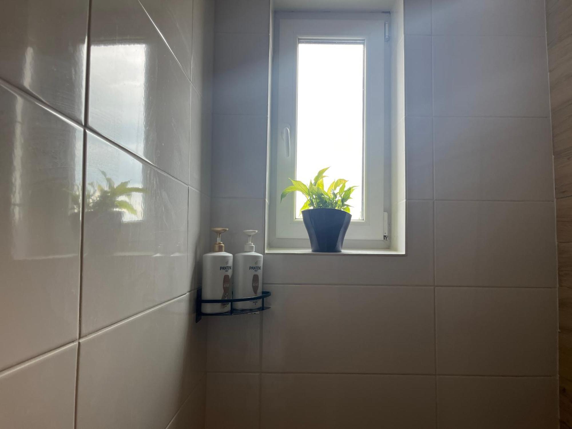 Apartment Monstera Ii